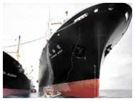 SHIPPING INDUSTRY NITRILE